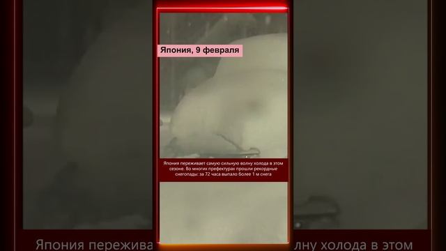 VID_20250212_110614_691.mp4