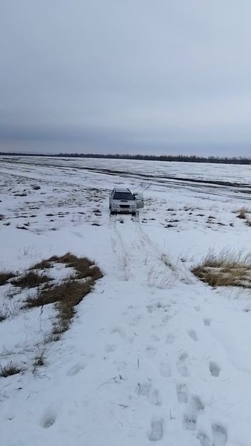 Субару Форестер