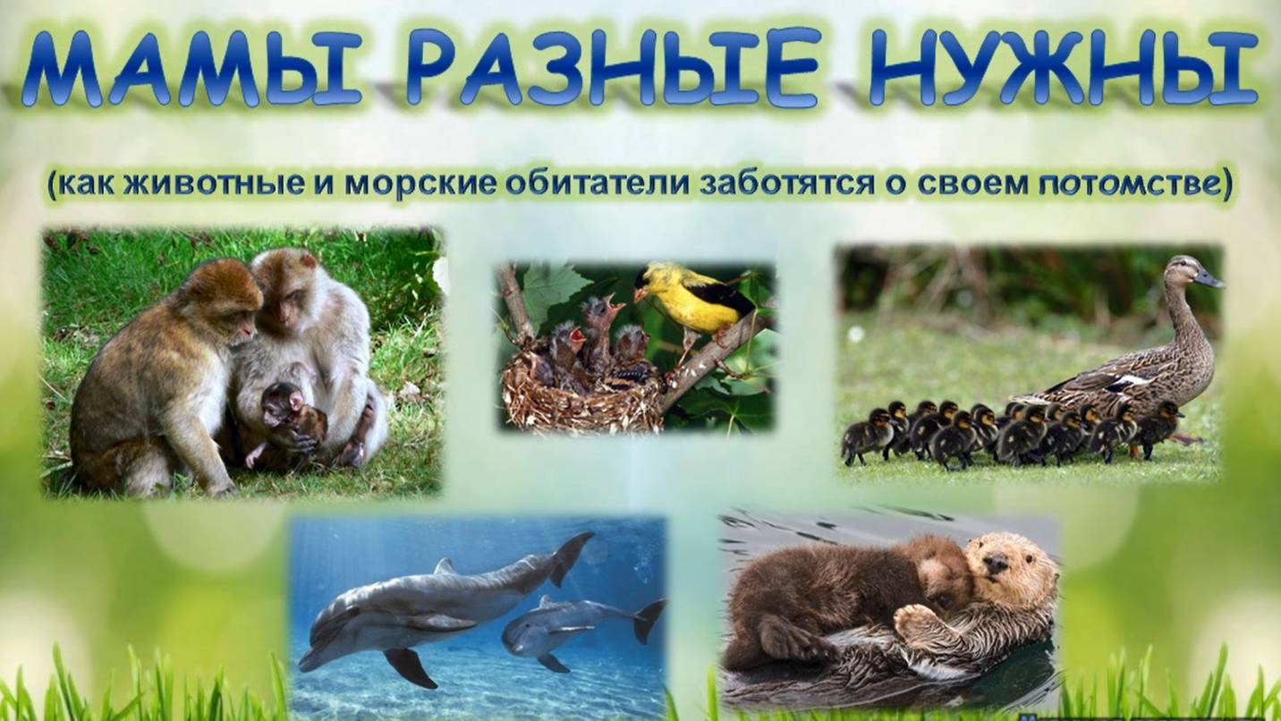 Мамы разные нужны