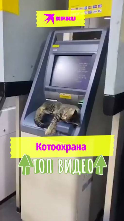 Котоохрана