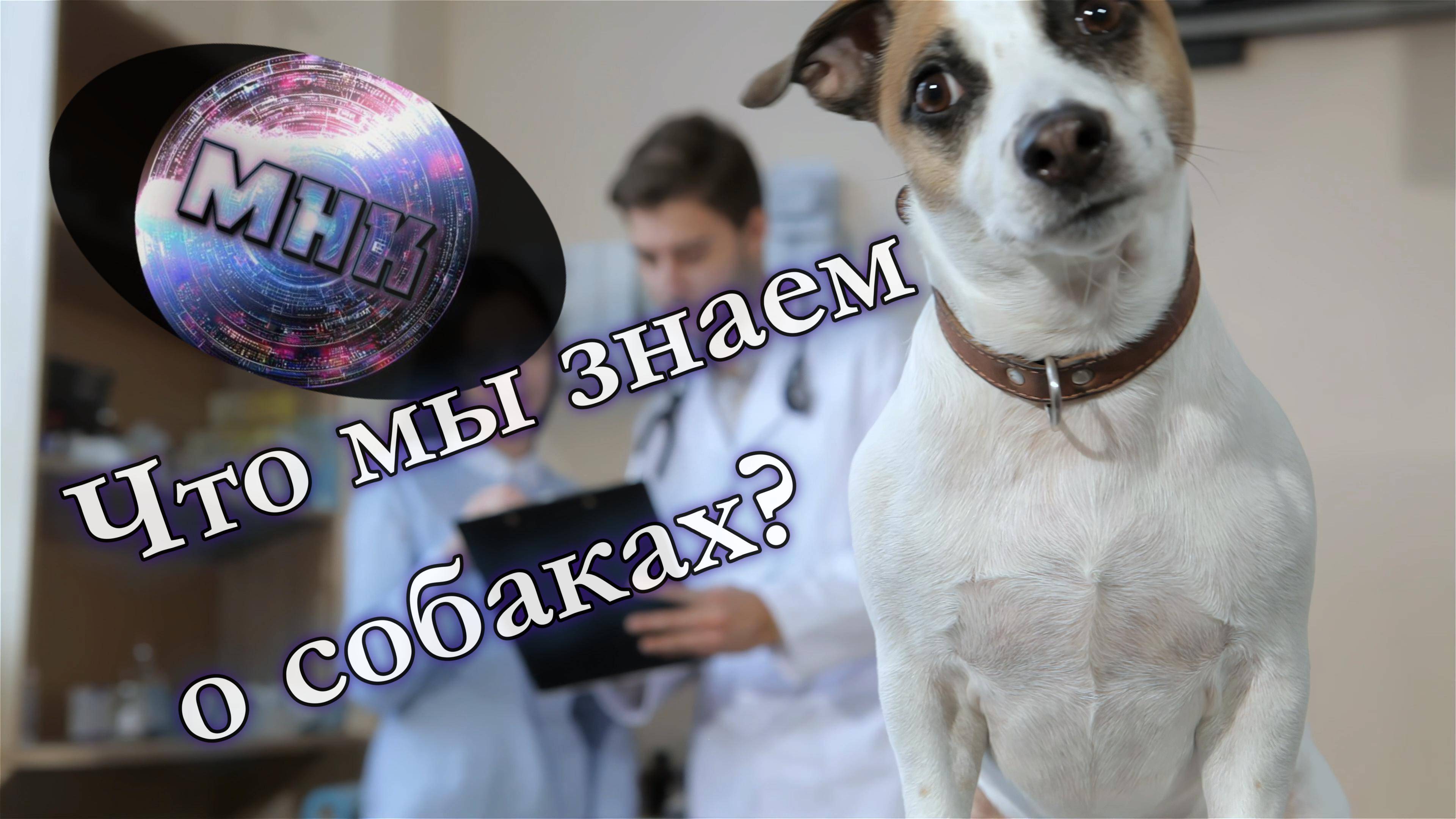 Что мы знаем о сабаках