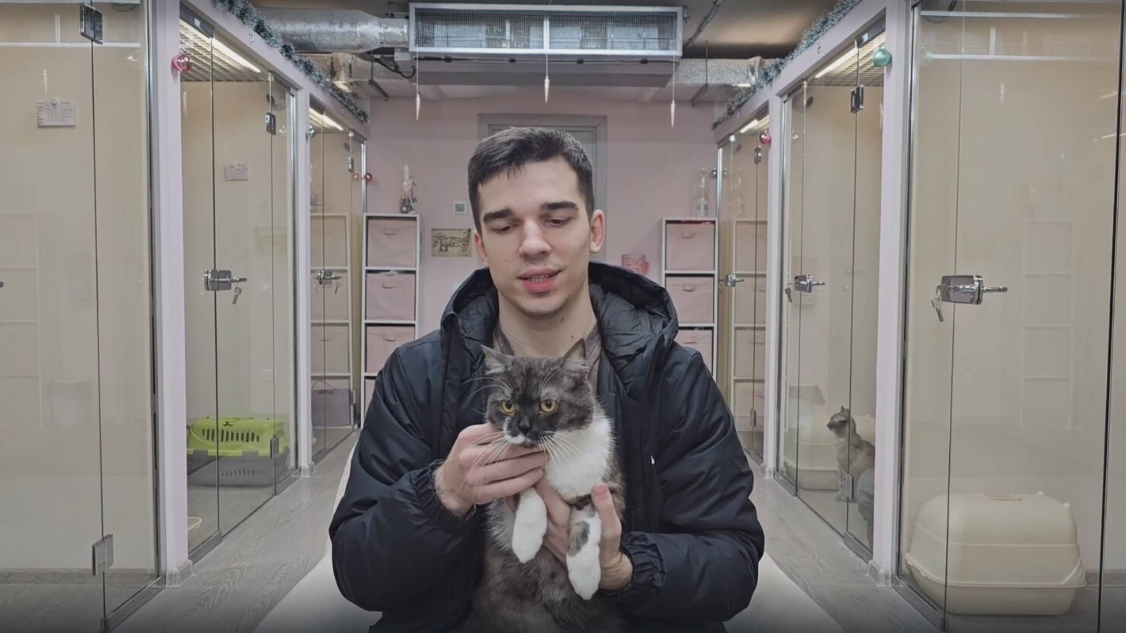 Видеоотзыв клиента зоогостиницы для кошек "Котико" в Санкт-Петербурге