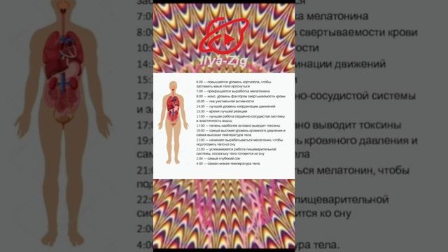 Как Снизить Уровень Кортизола?