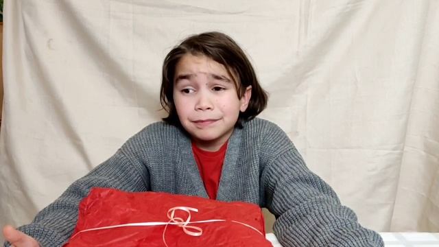 феликс ахмедов самопробы 5 – Операция "Подарок" – Доставка невозможна
