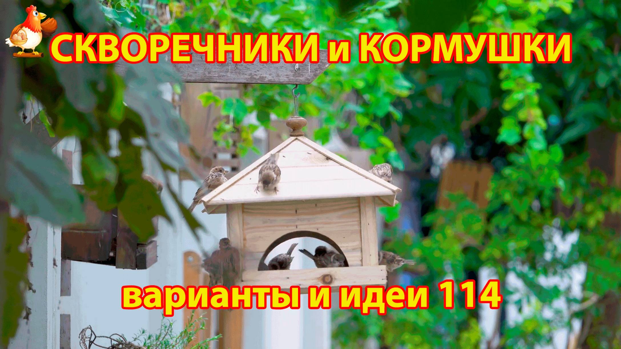 Скворечники и кормушки своими руками для птиц 114 🪚🪛🔨 Идеи для дачи и сада своими руками 😂 Пошаг