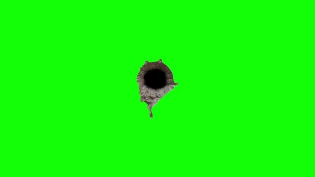 12-02-2025