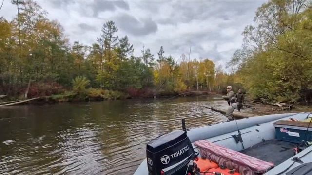 Таймень нахлыстом