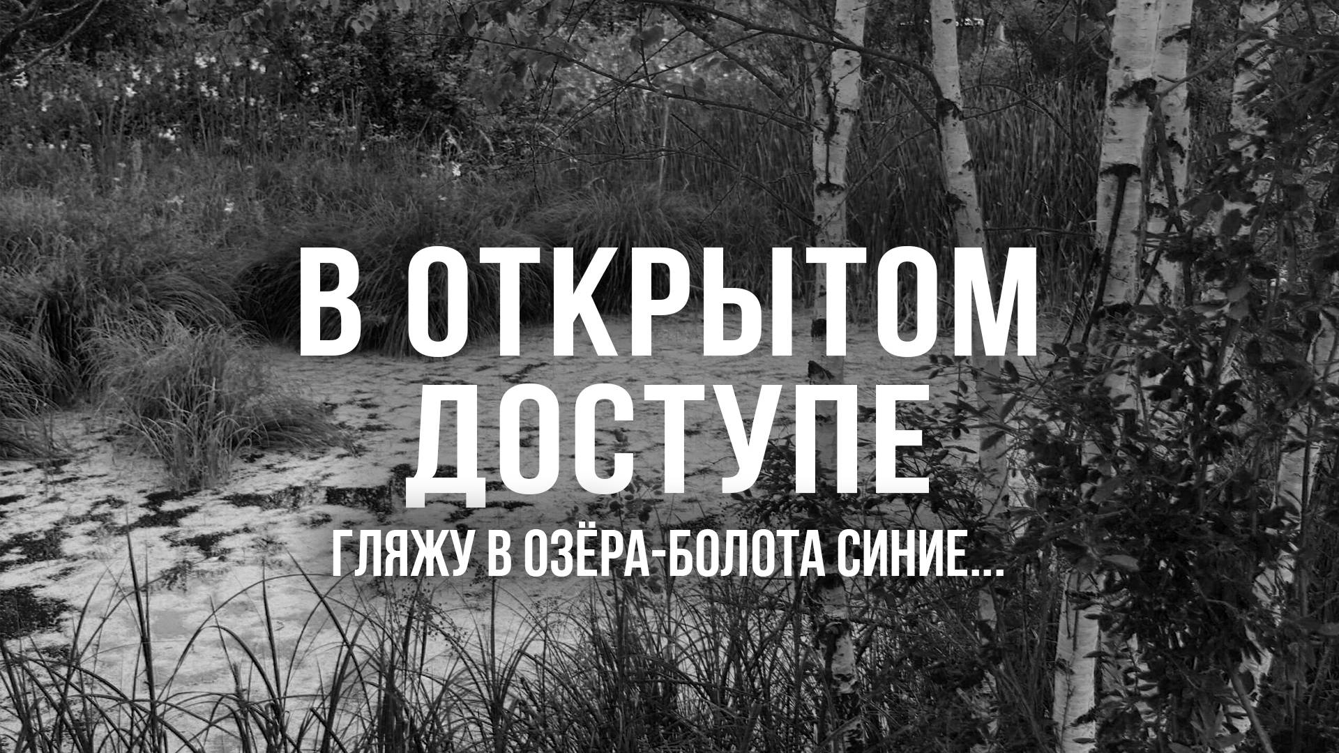 День водно-болотных угодий | Архивные кадры. В открытом доступе