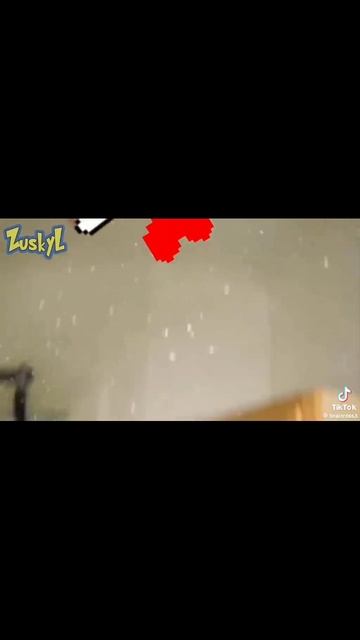 мем из титока