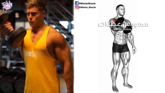 DUMBBELL Chest Exercises Workouts - Massive