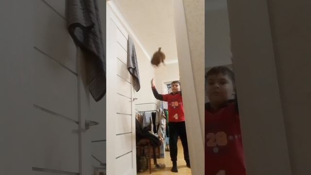 бобр
