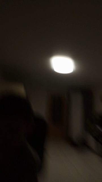 scene_output.mp4