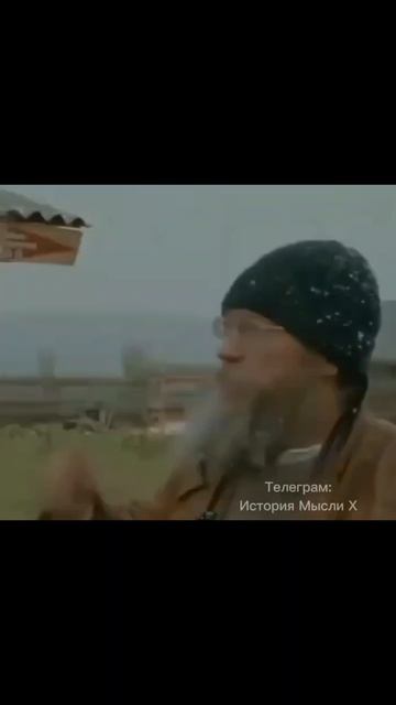 вот почему современные школы опасны