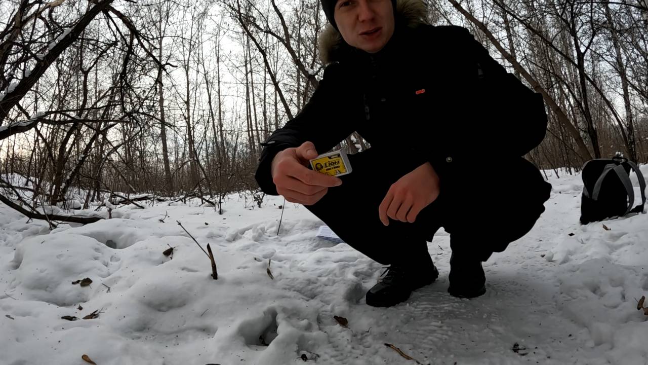 Поджег Высшее образование