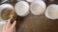 12 февраля видео про птицу