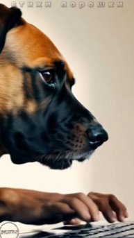 Валентинки