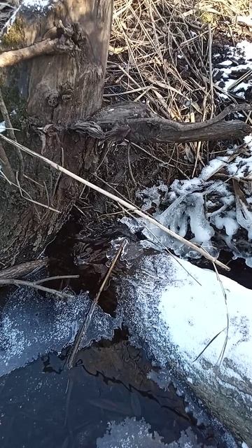 Мини-водопад на ручье в ледяных узорах