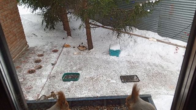 1000380582.mp4