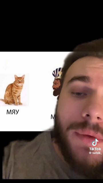 смешное видео