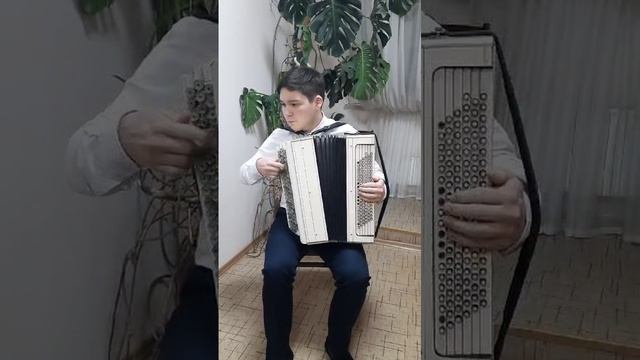 Полёт шмеля