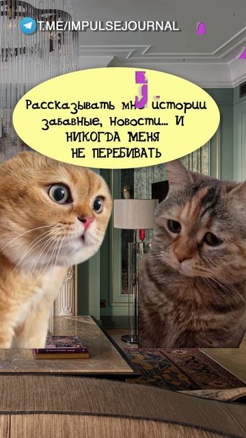 Особенная #мыкотики #вмем #разговор #анекдот #шутки #животные #юмор #кошки #смешное #мемы #скетчи