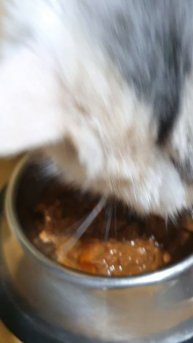 КОШКА ЕСТ Purina One с говядиной и морковкой