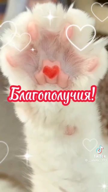 ЛАПКИ https://ok.ru/messages/join/Y2w966_K9qtTYQmof-nn0u1wNLXLaAZsAXB-fPOPEWm_sBRRTbSN9SHev_QkjB3fqY