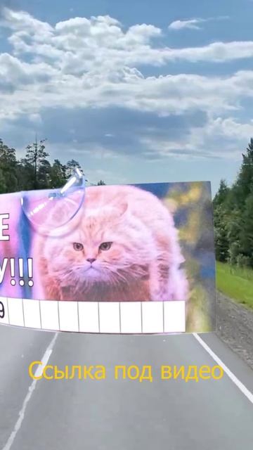 Ламинированная автомобильная визитка