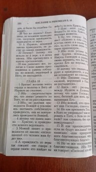 девочка по имени Полетт.