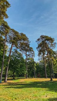 ЖК Тихий дом, Калининград _ подборка квартир