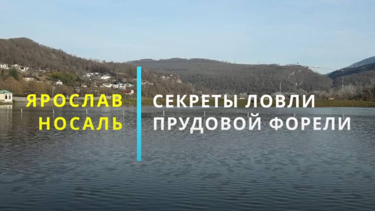 Секреты ловли прудовой форели