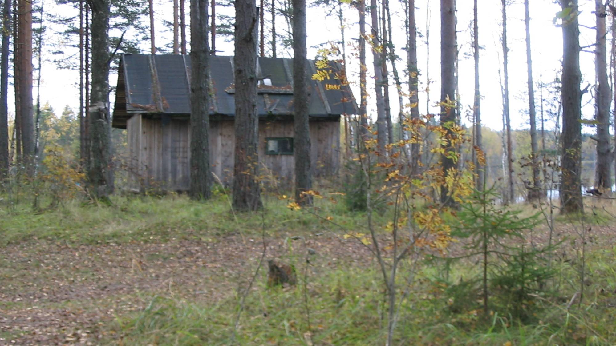 Отдых, рыбалка, домик в лесу, бездорожье Карелия