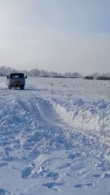VID-20250106-WA0061