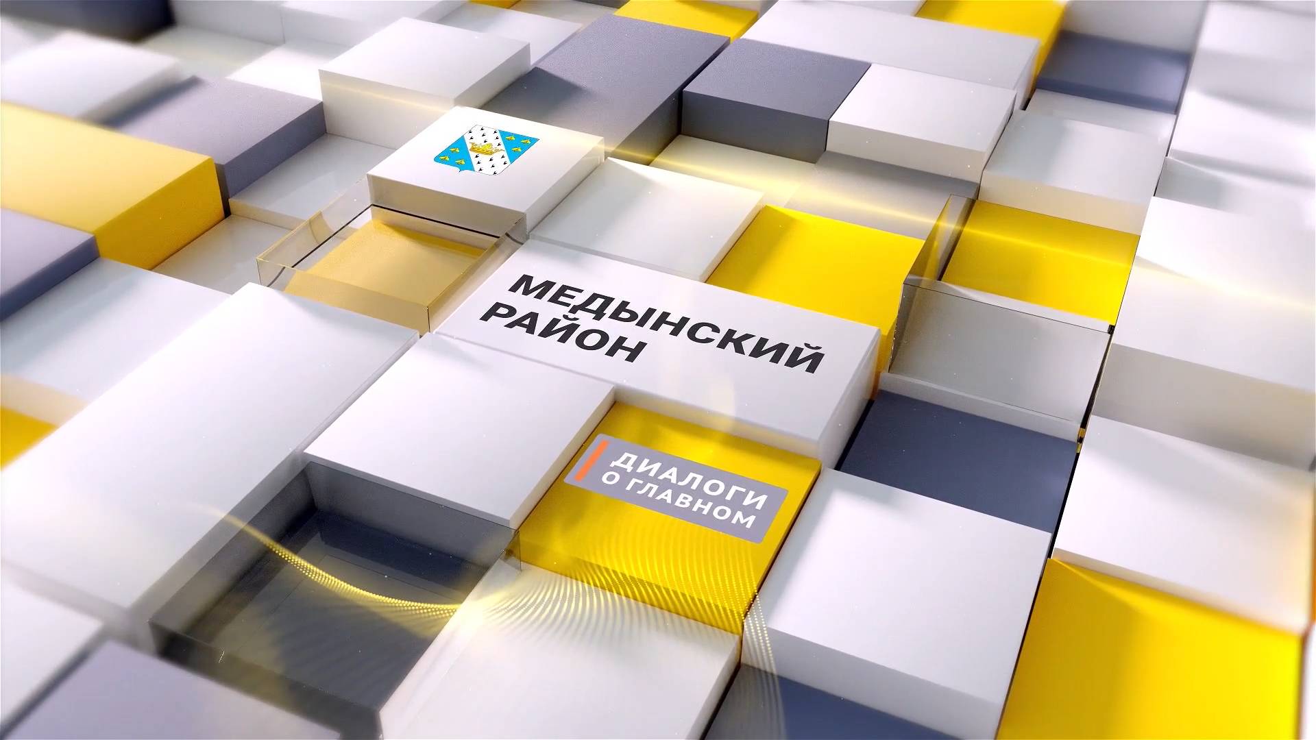 Медынский район. Диалоги о главном.