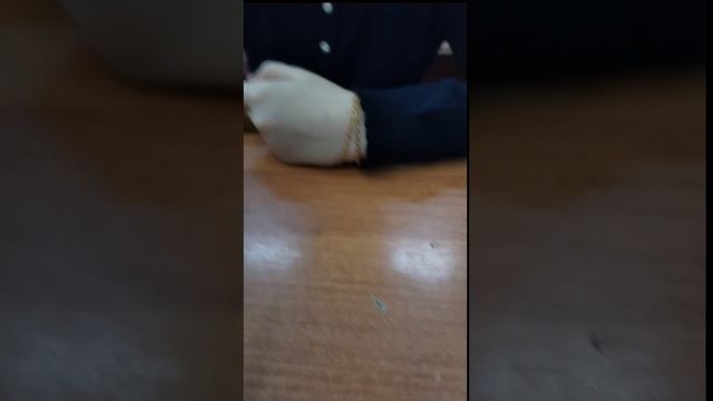 МИ МИ МИШКИ НА СЕВЕРЕ ЧТОООО😱!!!