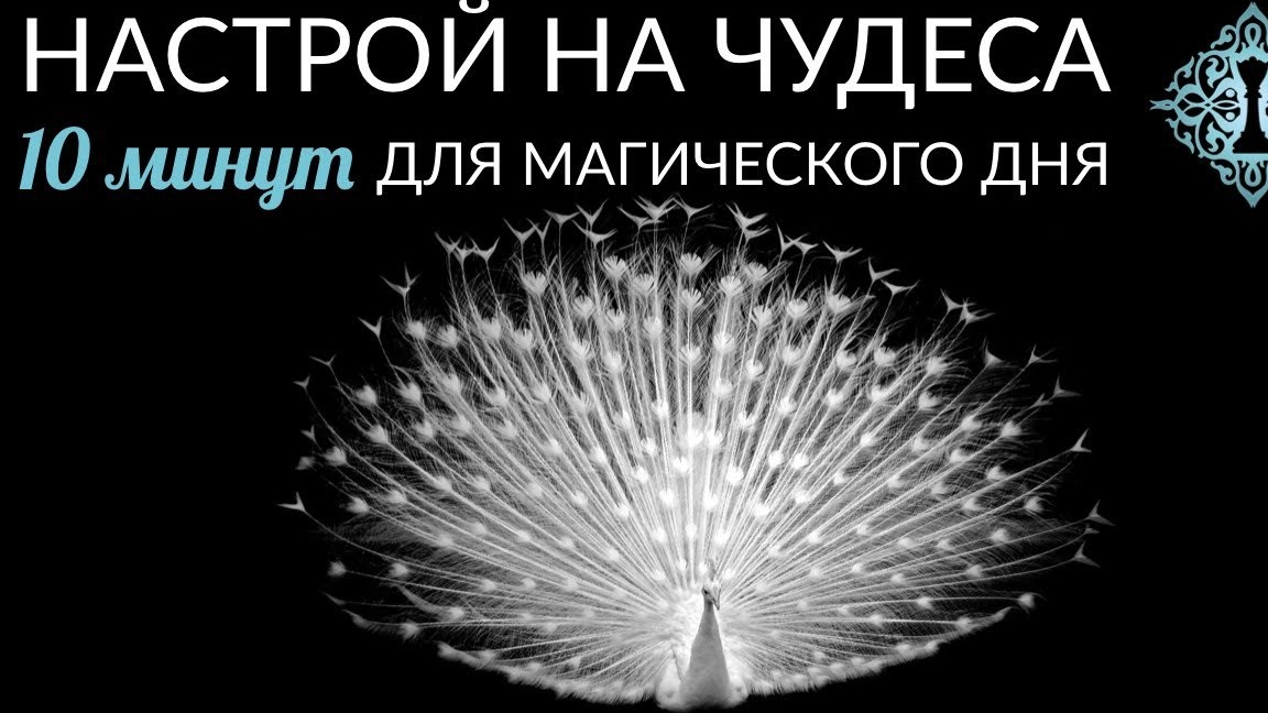 📹 НАСТРОЙ НА ЧУДЕСА. Утренний ритуал от Ады Кондэ. #АдаКондэНастрой → 👤 АДА КОНДЭ →