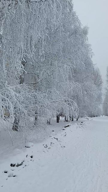 Февраль порадовал красотой!