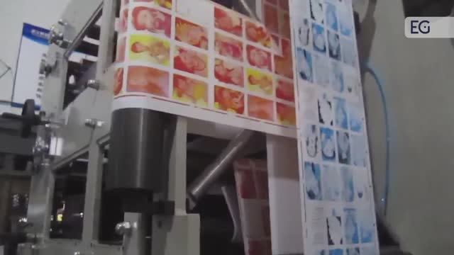 Флексопечатная машина RY320-2B