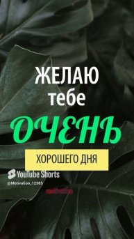 Цитата#168 «желаю» #цитаты #желаю #motivation #shorts.