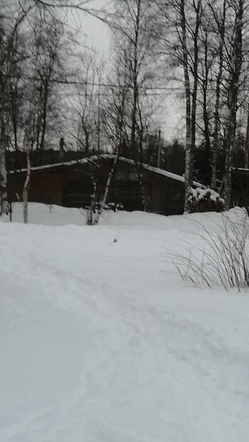 Домики в Карелии 2