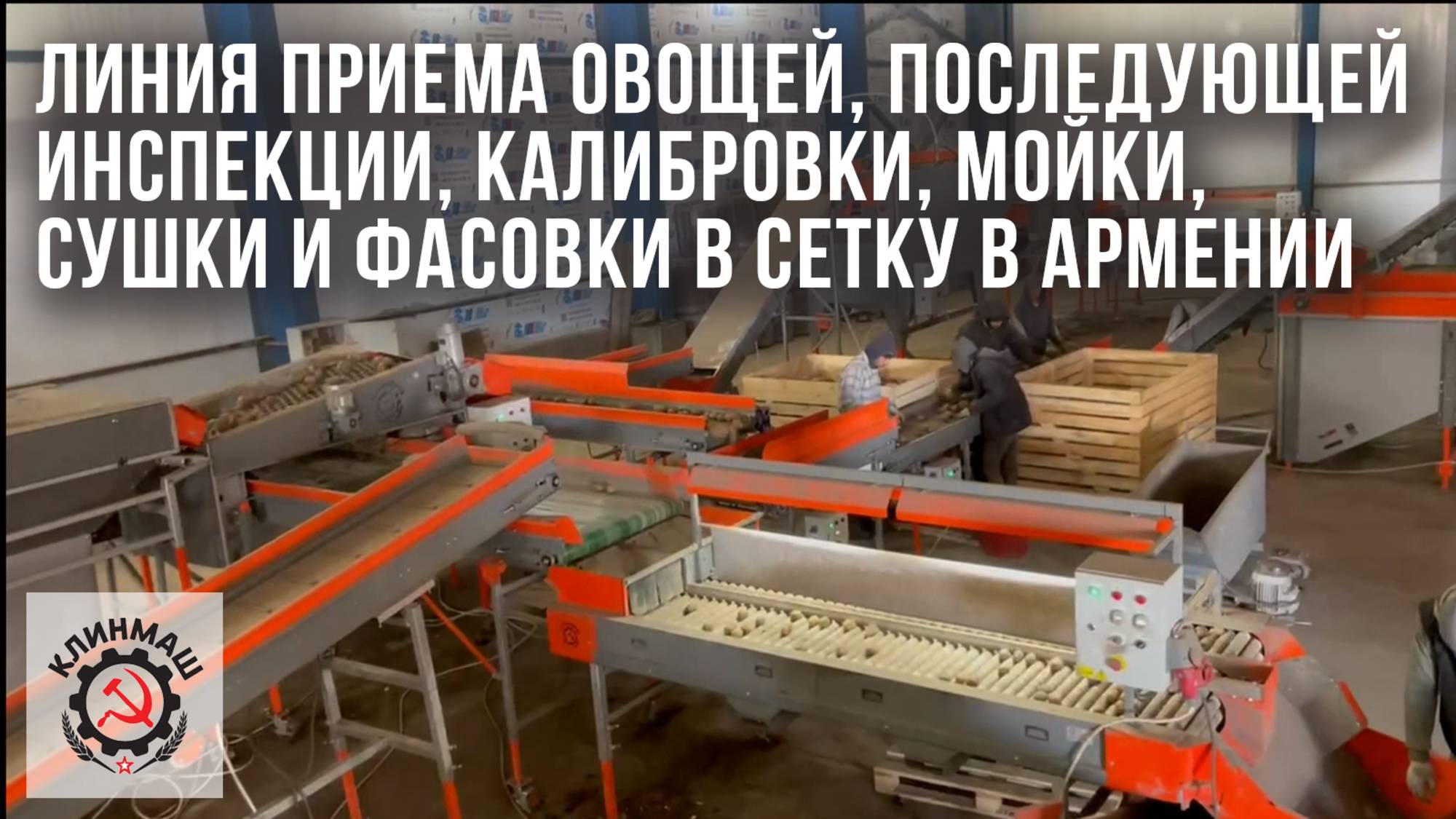 Линия приема овощей, последующей инспекции, калибровки, мойки, сушки и фасовки в сетку в Армении
