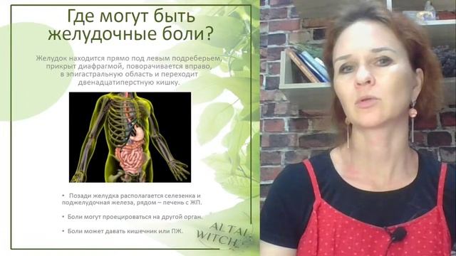 Строение ЖКТ