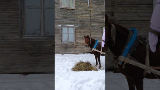 13 февраля