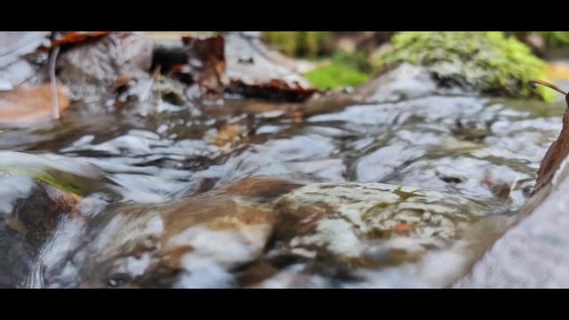 командировочное