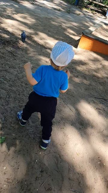 ЛЕТНЯЯ ПРОГУЛКА