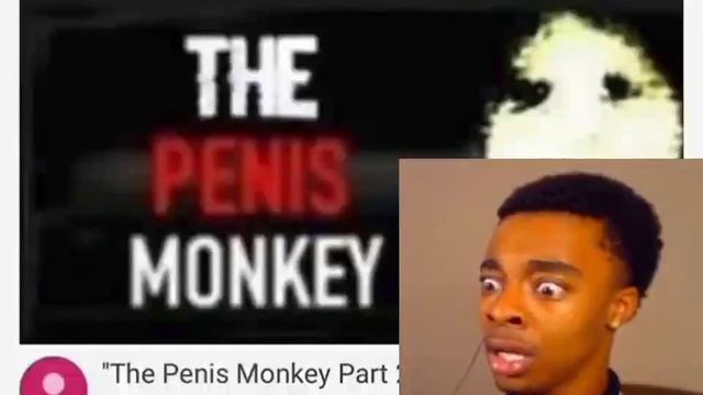 The Penis Monkey