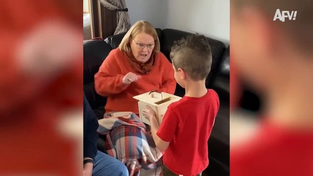 Watch Out for the Bugs Hilarious Reactions