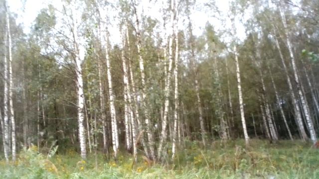 VID_20230827_094911.mp4