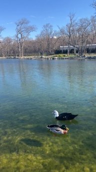 Новый парка Геленджике