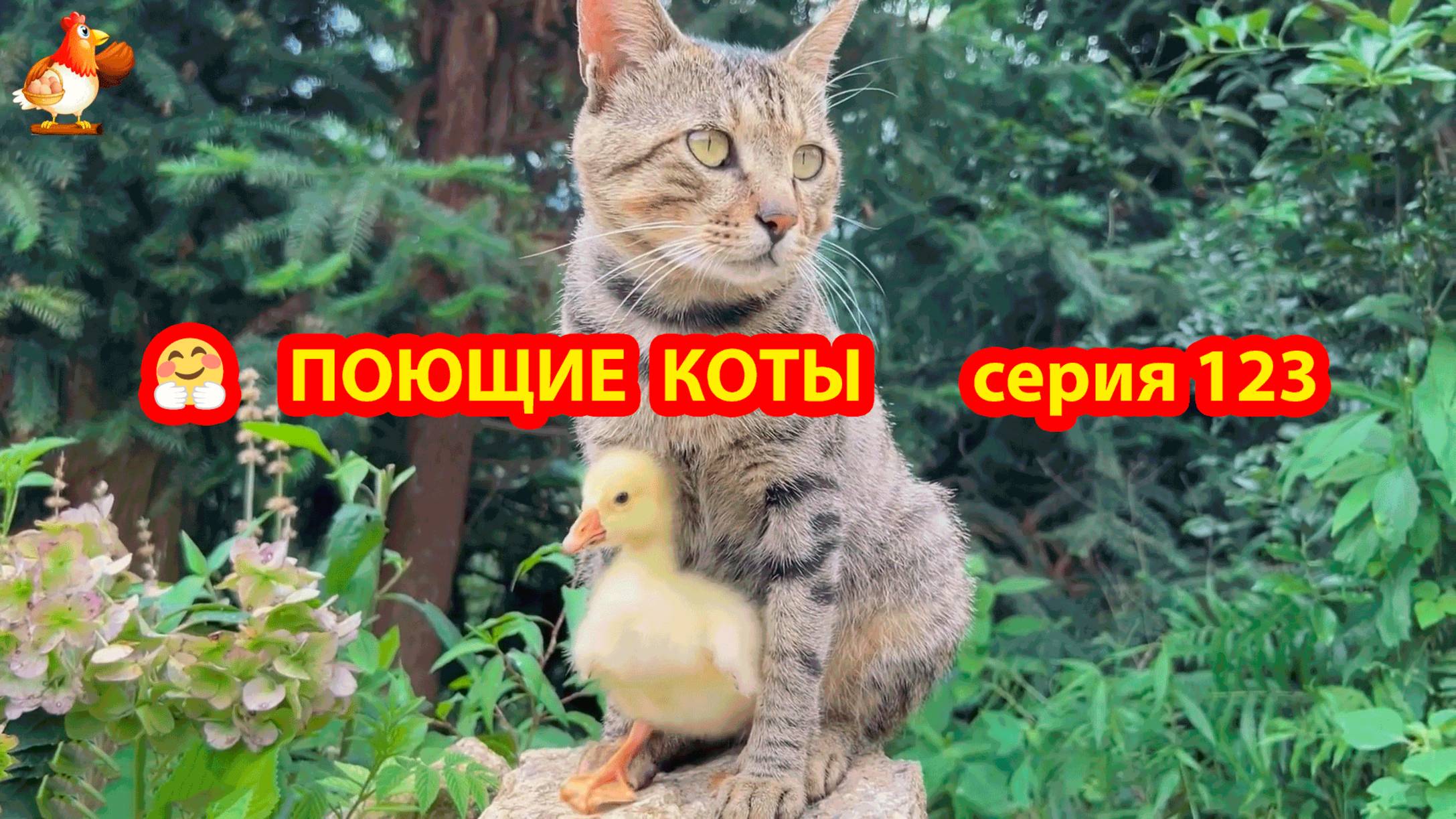 Крутые коты у птичьего двора серия (123) 🐈🐈⬛😹 Природа Абхазии и подворье с птицами и животными ❣